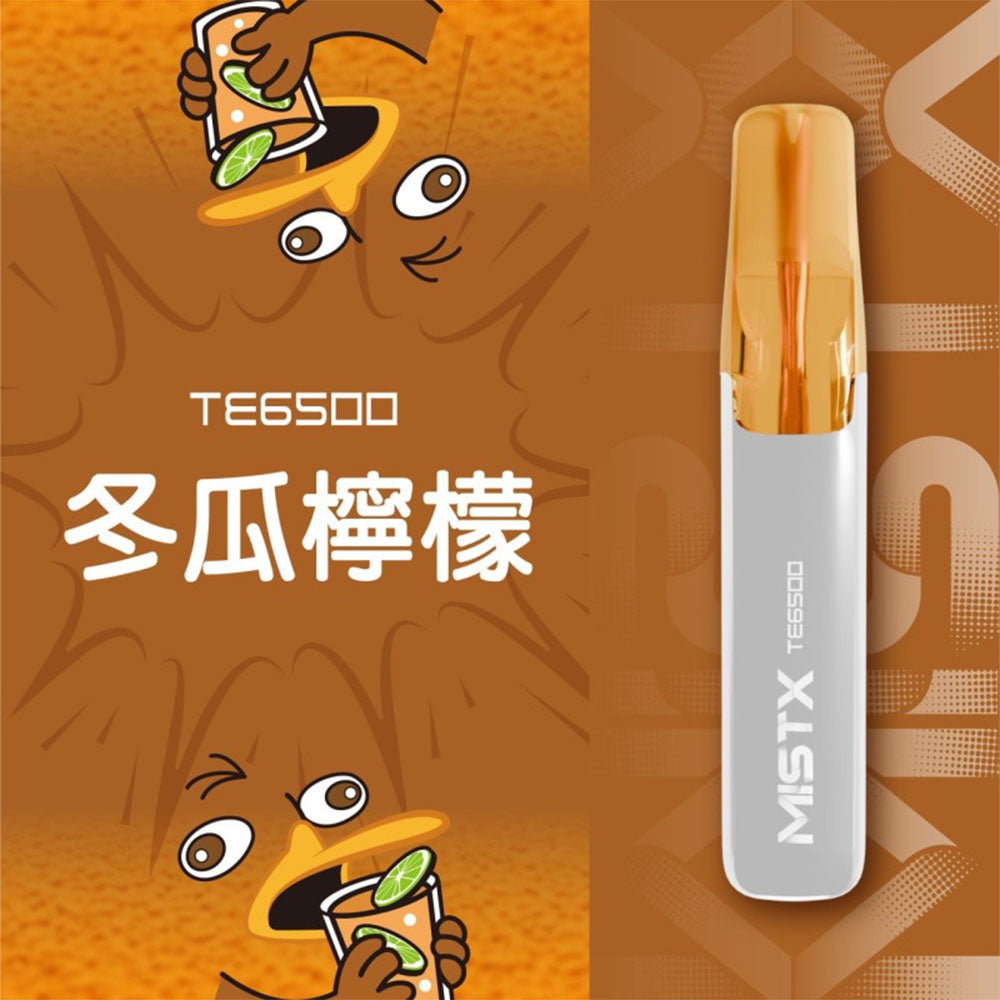 MIST X 鴨嘴獸 一次性6500口